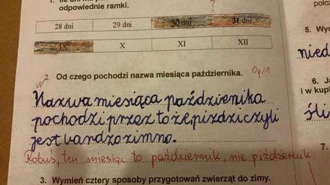 Hity z kartkówek i sprawdzianów! Teksty uczniów bawią do łez! 