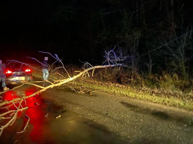 Wichury na Dolnym Śląsku. Silny wiatr zerwał dach z budynku, strażacy interweniowali 200 razy