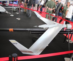 MSPO 2025