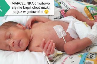 Czworaczki z Bydgoszczy urodziły się 3.03.2020