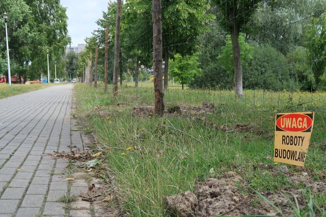 Park Jaworek w Tychach zamienił się w wielki plac budowy [ZDJĘCIA]