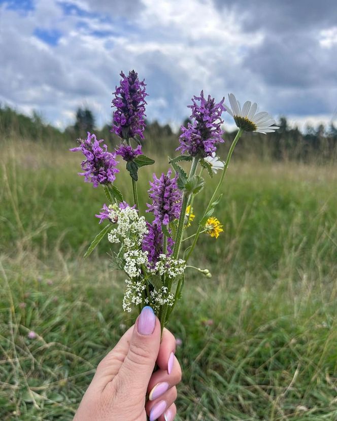 Marta Nawrocka na spacerze z córką i mężem