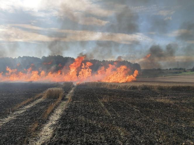 Pożar maszyny rolniczej, rżyska słomy i zboża - Lipowina gm. Braniewo