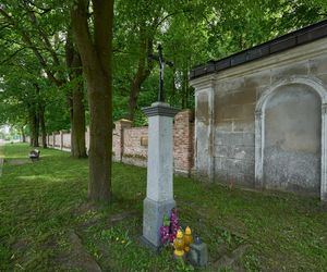 Najładniejsza nazwa wsi w Śląskiem. Kruszyna na zdjęciach