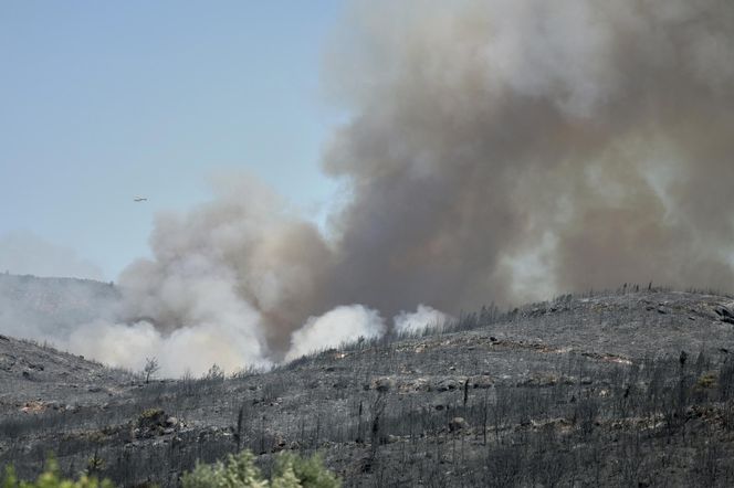 Podpalił Turcję, bo chciał iść do więzienia! Podpalacz kurortów złapany