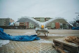 Mieszkańcy Śląska zobaczyli nad głowami... ponad 900 kg orła! [ZDJĘCIA, WIDEO]