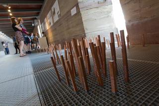 Spędź niezapomniany dzień z tatą: najlepsze propozycje na Dzień Ojca 2018 w Warszawie [POMYSŁY]