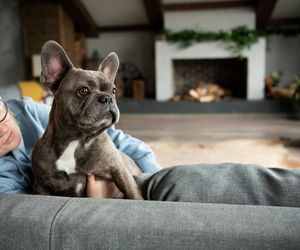 Wybrano najpiękniejsze imię dla psa. Nosi je także znana polska piosenkarka!