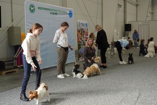 ZOOPARK w Lublinie. „Postawiliśmy na polski las. Chcemy promować nasze zwierzątka”