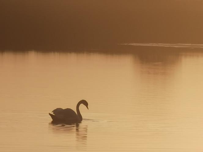 Piękny koniec dnia na jeziorach przygodzickich ;)