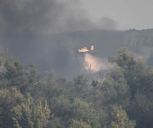 Słup dymu pod Szczecinem. W akcji samoloty gaśnicze