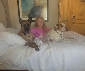 Te psy skradły serca gwiazd! Niektóre wyglądają jak z bajk