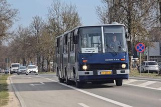 Zabytkowy autobus wyruszy na ulice Kielc. Pojedziesz nim za darmo!
