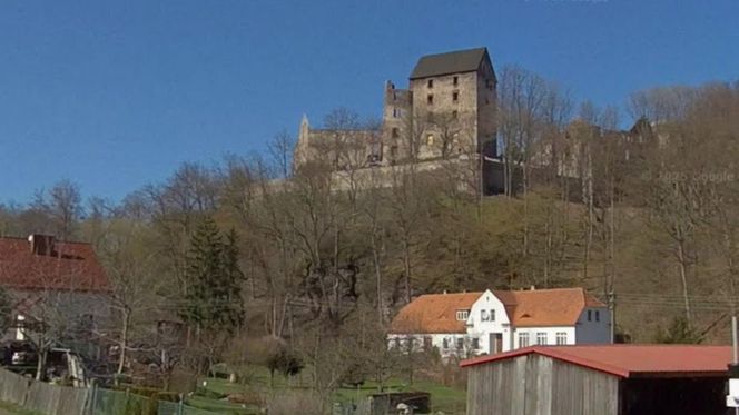 Zamek Świny