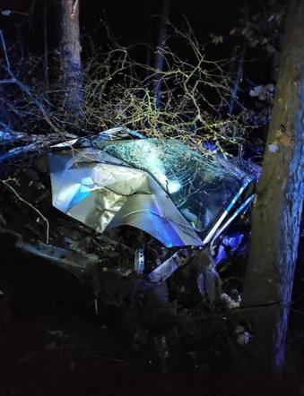 Piła: Zakrwawiony 15-latek wyszedł z lasu. W nocy pijany ukradł auto i roztrzaskał je na drzewie [ZDJĘCIA]