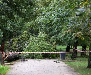 Park wilanowski zamknięty po burzy w Warszawie