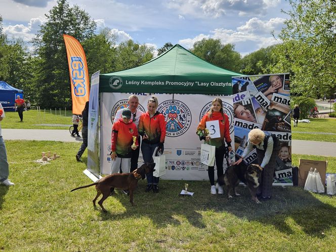 Festiwal Przyjaciół Zwierząt w Olsztynie. Park Centralny opanowały radosne pieski