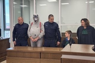 Wilk oskarżony o ciężkie przestępstwo. Świadkiem był Czerwony Kapturek