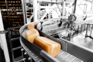 Nie potrzebują matury i studiów. Pracodawcy zatrudniają ich z miejsca