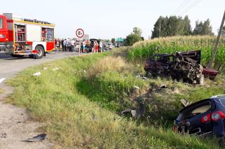 6 osób rannych, a połowa z nich to dzieci. Wypadek w pow. bialskim