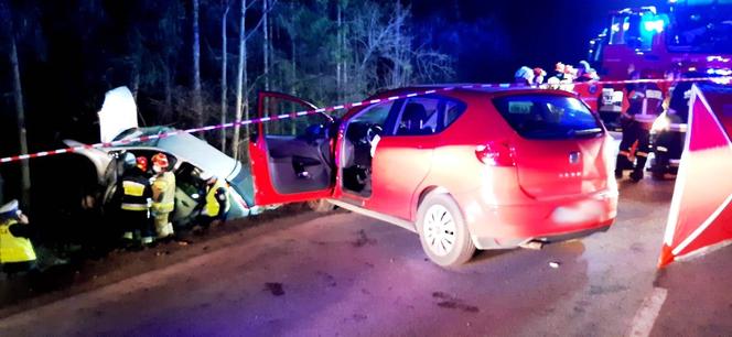 Coś widziałeś, może sobie coś przypomniałeś? Policja czeka na sygnał. Każdy jest ważny