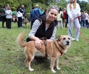 IX Piknik Przyjaciół Schroniska w Toruniu
