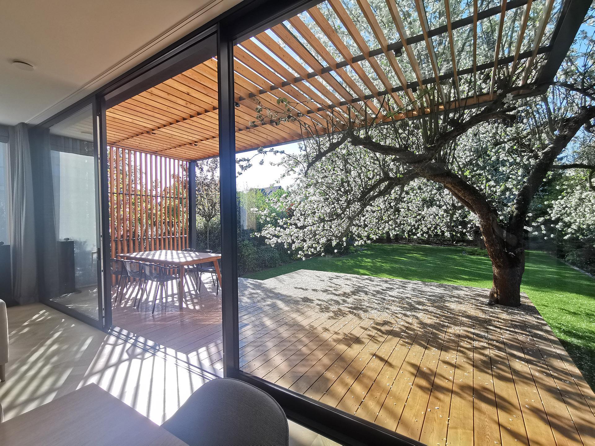 Dom z Jabłonią w Krakowie