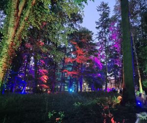 Olsztyn zamienił się w magiczną krainę. Park Świateł przyciągnął tłumy!