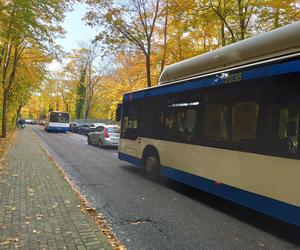 Wszystkich Świętych w Trójmieście. Zmiany w komunikacji