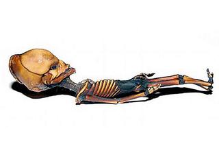 Znaleźli szkielet krasnoludka