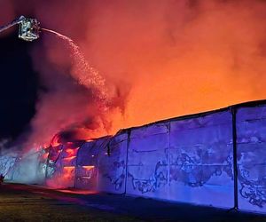 Lekarz weterynarii zlecił badania pod kątem grypy ptaków na fermie w Fałkowicach