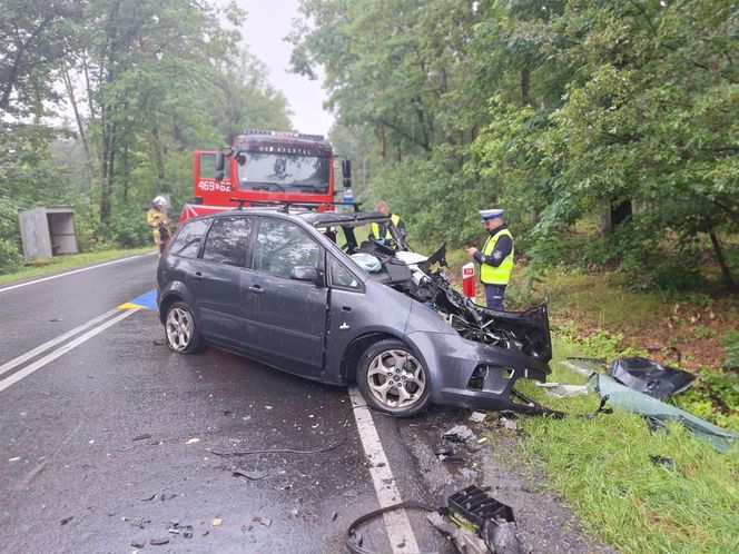 Śmiertelny wypadek na DK 69 pod Kępnem. Nie żyje dwóch kierowców 