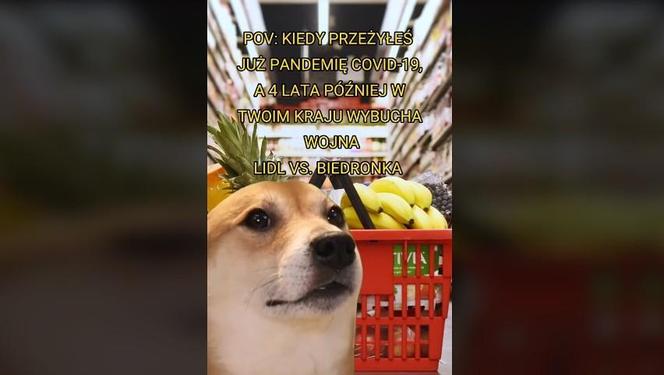 Walka cenowa Biedronki z Lidlem na memach. Internauci bezlitośni. "A wy z jakiego gangu jesteście?"