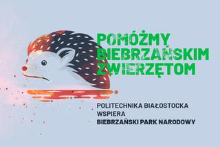 PB zbiera pieniądze na leczenie zwierząt z Biebrzańskiego Parku Narodowego
