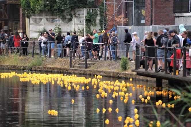 Ster na Bydgoszcz 2023. V Charytatywny Wyścig Kaczek Rotary [ZDJĘCIA]