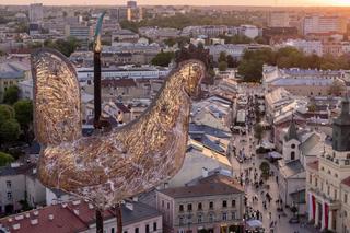 Lublin: 135 tys. zł dla organizacji pozarządowych działających na rzecz osób z niepełnosprawnościami 