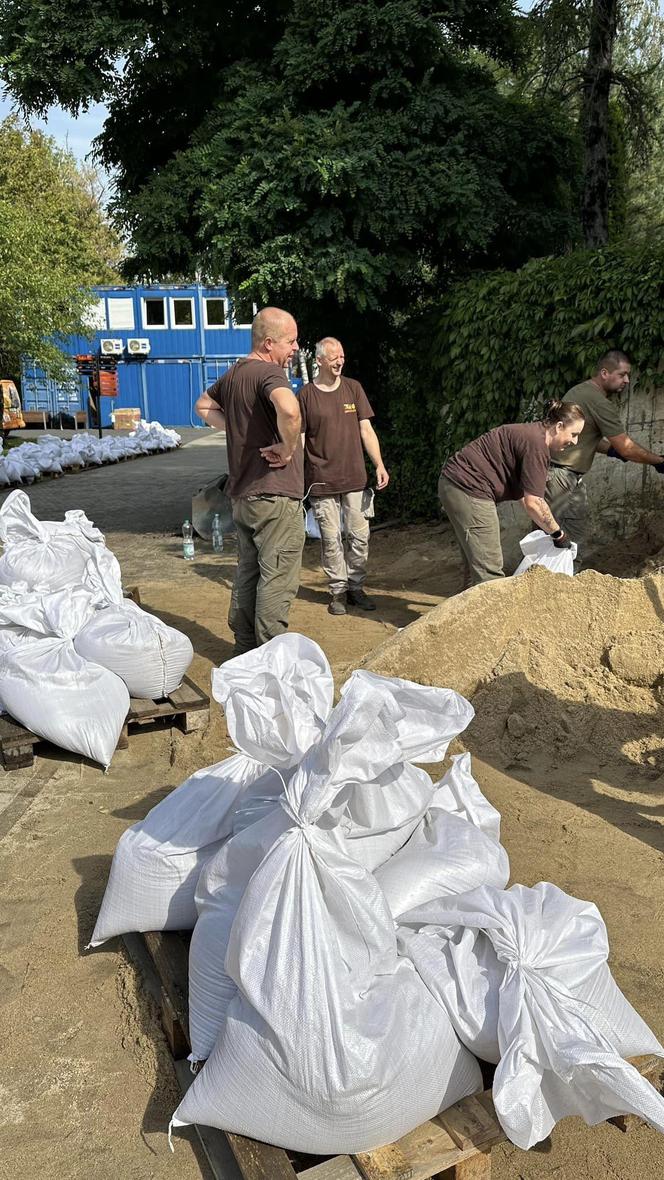 Wrocław. W miejskim ZOO trwają przygotowania do walki z żywiołem