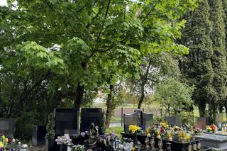 Wielkie zmiany na grobie syna Sylwii Peretti. Niewiarygodne, co się stało z pomnikiem Patryka