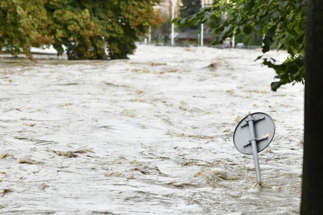 Powódź w Polsce. Sytuacja jest coraz trudniejsza