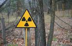 Czarnobyl nie stanowi zagrożenia