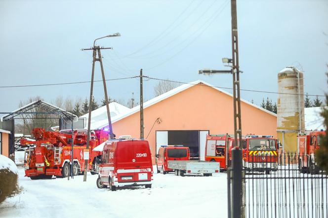 Zawalił się dach kurnika. Skomplikowana akcja we wsi Występ