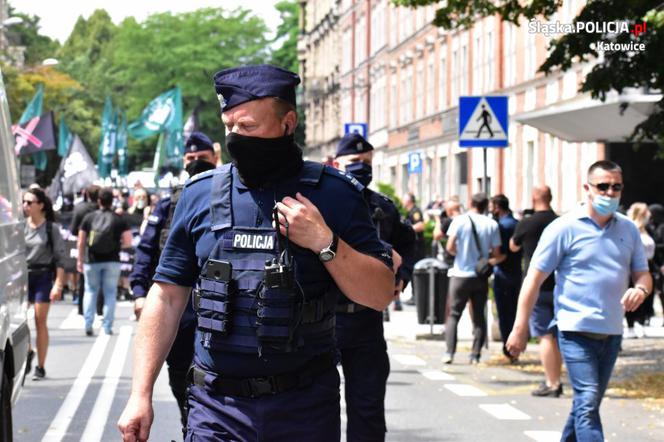 Katowice: Policjanci wśród nacjonalistów. Tajemnicza akcja służb na marszu! 