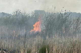 Wołomin: Płonie Natura 2000. Dym widać z wielu kilometrów
