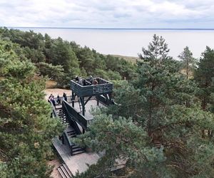 Obserwacje, warsztaty, opowieści i dużo dobrej zabawy. Przed nami XV Ptasi Piknik na Mierzei
