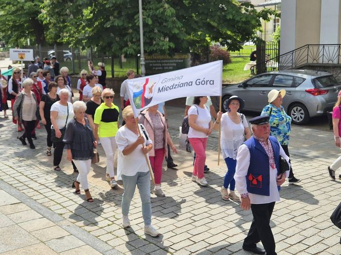 Gmina Miedziana Góra i okolice