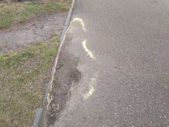 Żółty pył na ulicach Tarnowa. Czy jest groźny dla zdrowia?