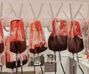 Transfuzja krwi. Co to jest i jak się ją wykonuje? [POSŁUCHAJ]