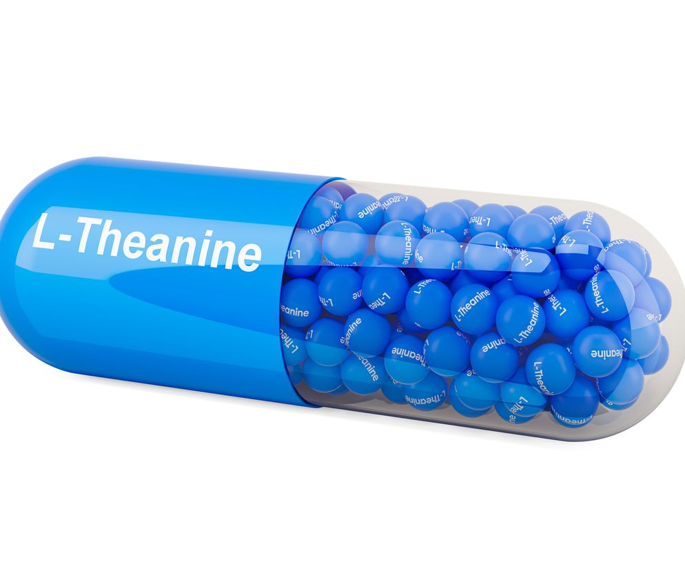 L-teanina - właściwości i działanie. Jak stosować L-teaninę?