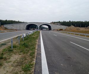 Budowa odcinka S19 Haćki-Bielsk Podlaski