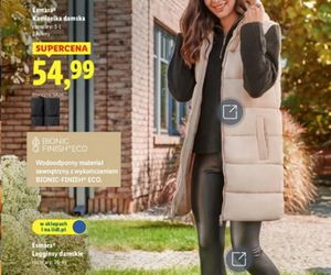 promocje w Lidlu